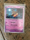 Pumpkaboo