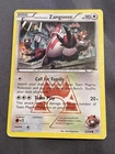 Team Magma's Zangoose