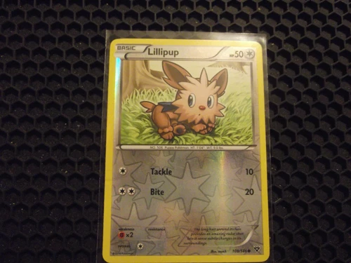 Lillipup