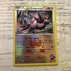 Team Magma's Zangoose