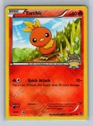 Torchic