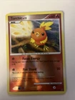 Torchic