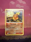 Torchic