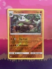 Torterra