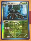 Torterra