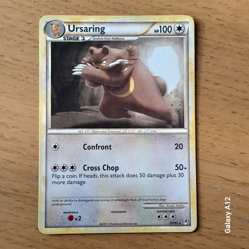 Ursaring