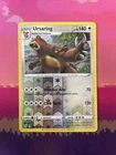 Ursaring