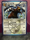 Ursaring