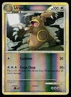 Ursaring