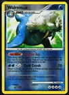 Walrein