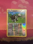Zigzagoon