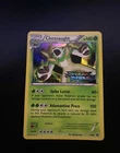 Chesnaught