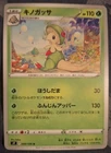 Breloom