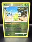 Budew