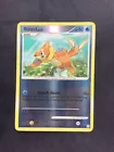 Buizel