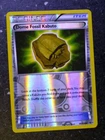 Dome Fossil Kabuto