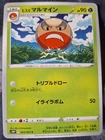 Hisuian Electrode