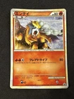 Entei 