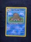 Light Piloswine