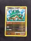 Torterra