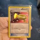Pokemon Catcher