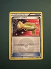 Pokemon Catcher
