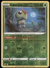 Caterpie