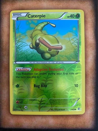 Caterpie