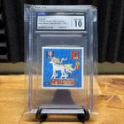 Ponyta, Rapidash