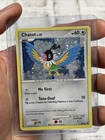Chatot