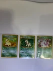 Meganium