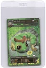 Caterpie