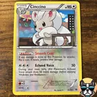 Cinccino