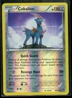 Cobalion