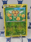 Combee