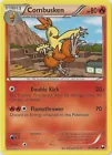 Combusken