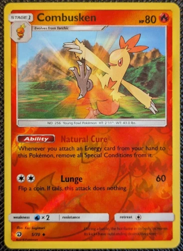 Combusken