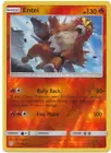 Entei