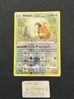 Bidoof