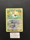 Seel