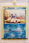 Cubchoo