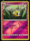Cutiefly