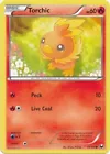 Torchic