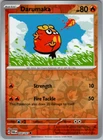 Darumaka