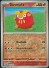 Darumaka