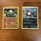 Pangoro