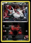 Team Magma's Poochyena