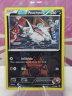 Team Magma's Poochyena