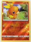 Torchic