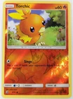 Torchic